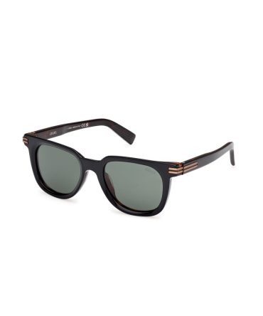 Zegna EZ0248