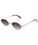 Ectoshield Safety Glasses Clear