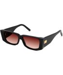 9FIVE Aura Crystal & 24k Gold – Gradient Sunglasses